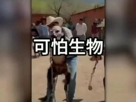 神奇的各种未知生物。