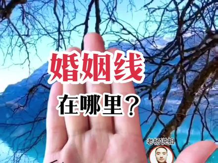 手相婚姻线在哪里?#婚姻线 #掌纹 #手纹 #测一测你是哪种手型 #掌纹的秘密
