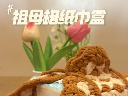升级版的祖母格纸巾盒来咯,茸茸的质感摸起来很舒服 #祖母格 #钩织纸巾盒 #手工钩织教程 #钩织视频教程 #爱生活爱编织
