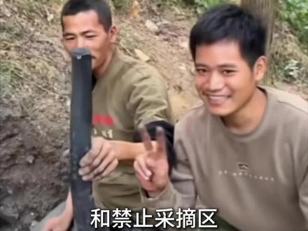 广西选手因为太强,被迫退赛荒野求生?