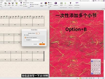 Sibelius 打谱软件操作 快捷键 04 #Sibelius打谱软件 #西贝柳斯打谱软件 #打谱软件教程