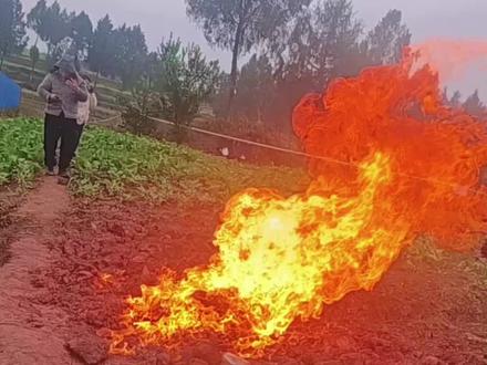 菜地突然冒地火持续7天了#蓬安徐家#四川南充