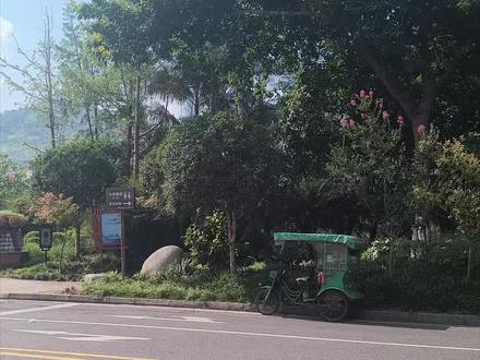 马边1426集,2025年火把节8月2日至17日火热举行