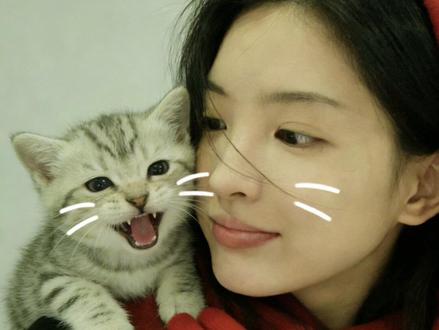 豆包P图小猫趴肩膀AI指令教程来了!小猫豆包p图趴头上 豆包小猫p图趴头教程 和小猫合照ai口令豆包贴在脸颊 和小猫合照特效 和小猫合照怎么拍 豆包小猫趴在肩膀上 豆包p图指令小猫 豆包ai小猫 小猫趴头上照片 豆包指令 小猫趴肩上 宠物头像定制 奶油风宠物头像 奶油性格小猫文案 小猫合照 小猫ai 小猫特效 奶油小猫情头 这小猫怎么乱七八糟的 猫猫:谁还不是个超模了 #豆包ai #豆包P图已经nextlevel了 #这小猫怎么乱七八糟的 #我和猫#治愈猫咪