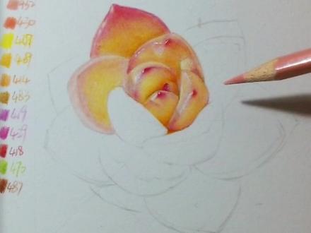 彩铅多肉教学|爱好画画的你赶紧学起来哟#一起学画画 #辉柏嘉 #零基础学画画 #画画使我快乐