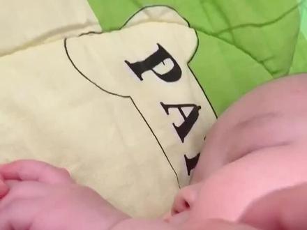 嘁 橡胶拳教你做人 #海贼王