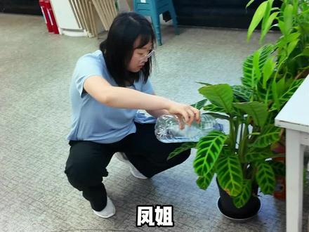 “满腹汁水”的手工生煎包 #生煎包 #美食 #妈呀太香了