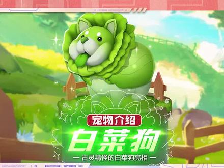 【宠物介绍】白菜狗亮相
#qq飞车手游 #宠物介绍 #白菜狗