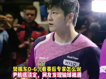 樊振东0-6,看赛后专家怎么说,尹航很淡定,网友发现输球根源