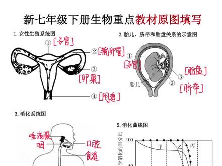 新七下生物重点教材原图填写 #七年级#七年级下册生物#生物教材 #中考必备 #基础知识
