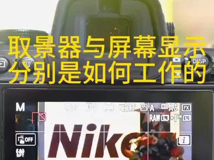 有朋友说不会用取景器,屏幕有时候会闪黑??#尼康 #摄影小技巧 #摄影小技巧分享