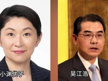 日本多个团体接连请求访华