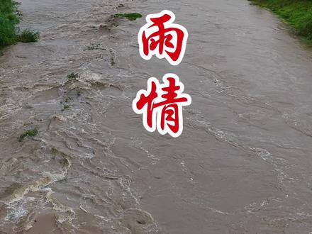 松滋连日大雨,全市已启动一级响应,先看看老城、庙河河段的水情。大雨天,市民朋友们要注意安全。#金哥说松滋#松滋生活#大雨#老城镇#松滋雨情