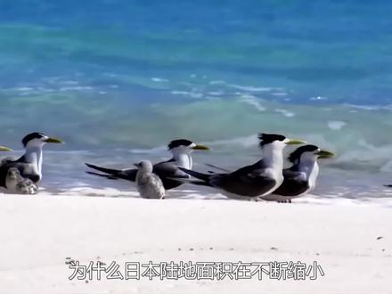 为何日本陆地面积在不断缩小,而中国的却在不断扩大?涨知识了 #温室效应 #樱花岛