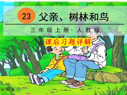 三年级上册语文第23课《父亲树林和鸟》课后习题解析#芸微课 #知识分享 #三年级上册语文 #课后习题详解