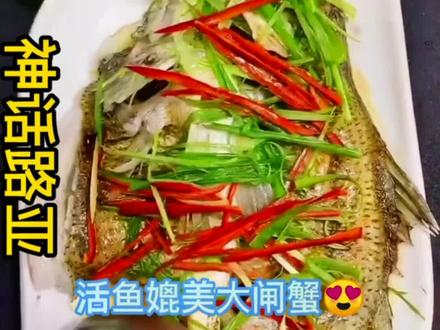 粤菜名菜:清蒸金目鲈鱼🐠的秘密:新鲜宰杀,则肉味鲜滑甜美,比美大闸蟹的蟹肉,离水12小时腐败速度加快,鲜味尽失,鱼腥味变重。#粉丝一千万 #金目鲈 #清蒸 #美食