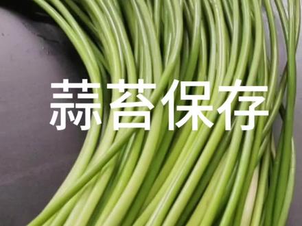蒜苔保存 喜欢吃就多存点 我的经验分享#绿色蔬菜