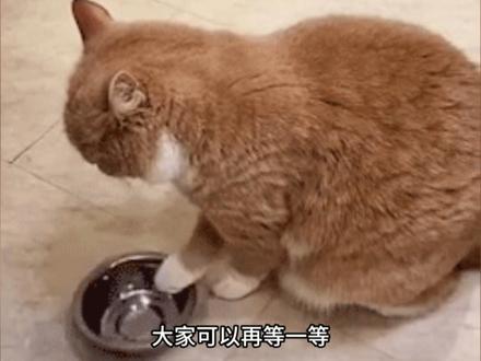 重返狼群版本怎么选 #重返狼群版本怎么选