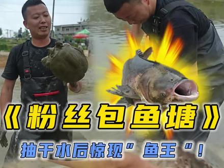 花五千帮粉丝大哥承包这个鱼塘,抽干水后竟然出现“30斤”巨物?#三农 #新农人计划2023 #乡村守护人