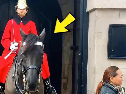 这匹皇家马超凶,却温柔靠近坐轮椅的人 #科普冷知识