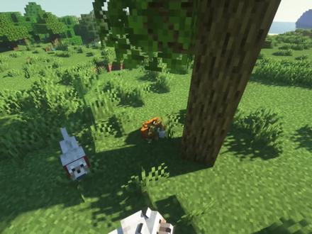 盘点几个我的世界关于狐狸的冷知识 #我的世界