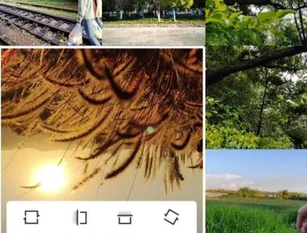 一键生成分屏排版,6种分屏预设效果,简直太方便了 #剪映教程 #剪辑教程 #视频分屏效果 #剪映vlog日常