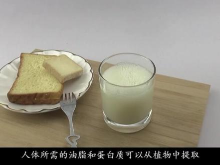 检测植物中的脂肪和蛋白质