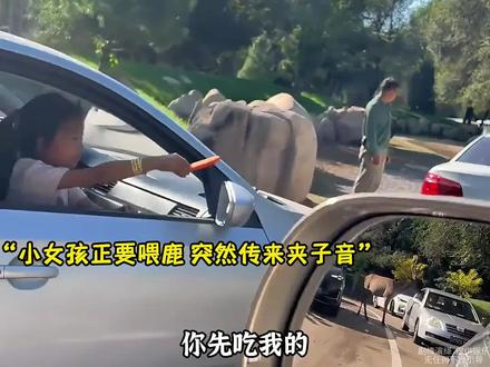 盘点那些猝不及防搞笑名场面#看一次笑一次 #搞笑