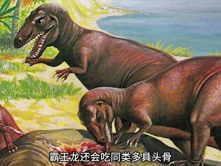 别再被电影里的霸王龙叫声骗了, 真实的霸王龙叫声足以颠覆你的认知#神奇动物在抖音 #科普 #科普一下 #知识前沿派对