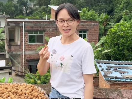 今年的龙眼干,你吃了吗?#龙眼干 #桂圆干 #