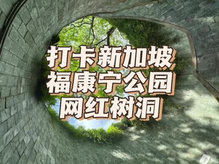 打卡新加坡福康宁公园网红树洞
#新加坡 #新加坡风景 #新加坡生活 #新加坡旅游攻略 #旅行推荐官