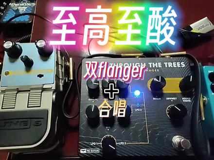 【至高至酸】双flanger+合唱.PRS wind through the trees. line6 space chorus#电吉他 #效果器 #vox #PRS#佛兰格效果器