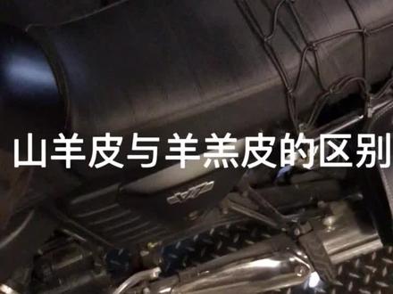 给你看看它们的区别#在抖音做最不抖的事 #涨知识