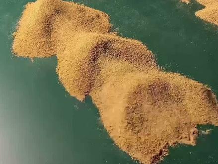 《形势指南》杨公十二倒杖法——顺杖 #形峦风水