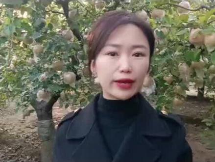 农作物缺肥症状你了解吗?#农技推广 #农业种植