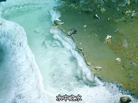深海下面竟然藏着湖泊,可能颠覆生命起源认知!#科普 #抖音精选 #知识前沿派对 #生命起源 #湖泊