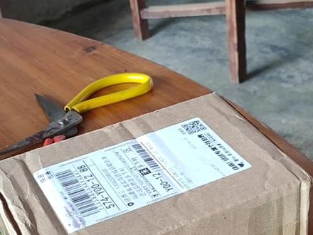 用快递盒给小鸟仔仔做个鸟窝。#萌宠 #善待动物关爱生命 #小鸟🐤 #动物 #人与自然和谐共处