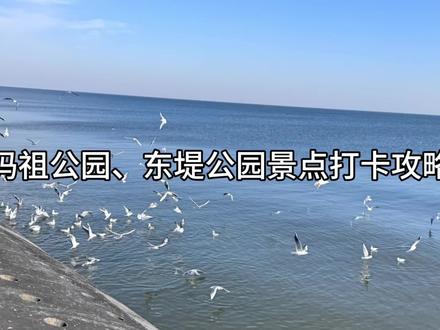妈祖公园、东堤公园实拍,过年前后来时间是超合适的,而且都是免费景点,只需要有朋友陪你拍出神图就可以啦~快联系你的旅游搭子吧!#旅游推荐官 #天津 #景点推荐 #海鸥 #妈祖