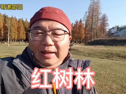 邵阳市大祥区的红树林,算不上风景区的风景区,郊游好去处