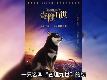 查理九世讲了什么,为什么成为了童年经典 #查理九世
