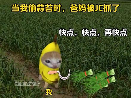 《鱼宝逆袭》1.0#猫meme #超爆小故事 #猫meme小剧场 #搞笑