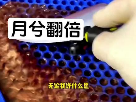 📚月兮~翻倍#鬼知道我看了多少遍 #发疯文学