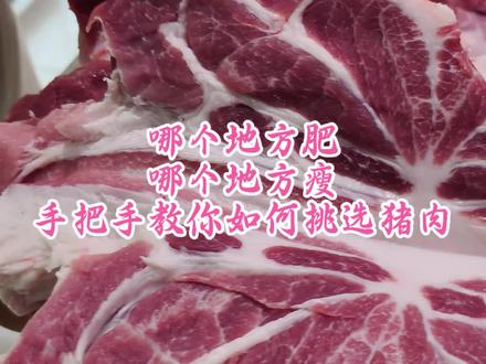 哪个地方肥,哪个地方瘦 手把手教你挑选猪肉#猪肉 #肥猪 #知识分享 #教程 #挑选食材