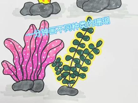 一分钟学会画不同种类的珊瑚 #绘画小技巧💡