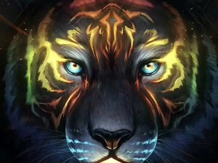 呐,霸气虎来了,拿去做壁纸❤