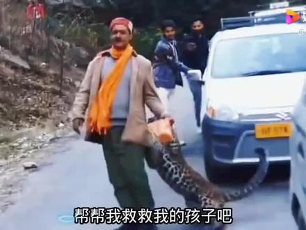 #神奇动物在抖音# 动物和人类#