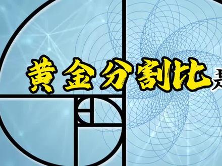 #生活中的数学
黄金分割比的应用