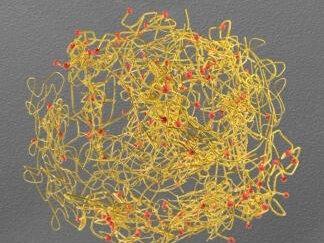 绘图教程:分子链网络负载颗粒︱科匠小课堂 #科匠文化#科研绘图 #blender