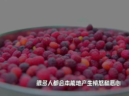 卖的人自己都不敢吃!福建毒杨梅再升级!记者暗访被威胁别离开白水镇!