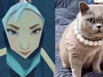 当瓦瓦遇上可爱小猫@瓦瓦 #瓦瓦 #太讷了